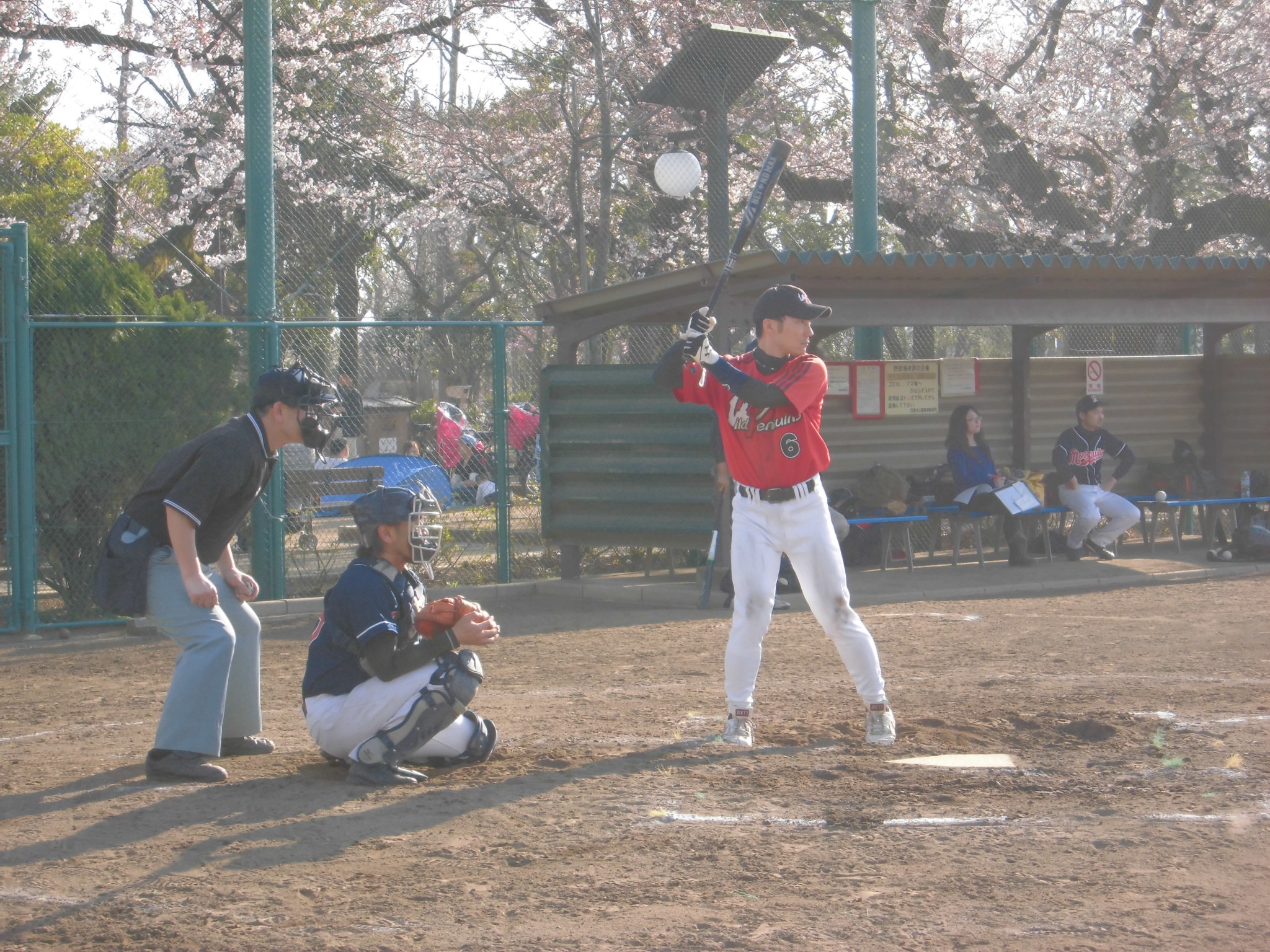 3/28　桜舞い散る中　逆転で今季初戦を制す